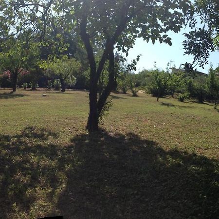 Secluded 1.8 Acre Garden Villa, For Exclusive Use With Stunning Views. Καλάνδρα Εξωτερικό φωτογραφία