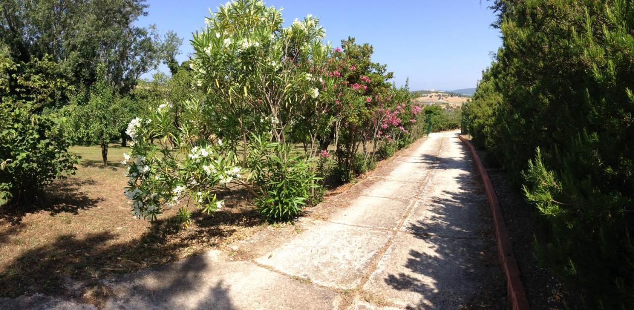 Secluded 1.8 Acre Garden Villa, For Exclusive Use With Stunning Views. Καλάνδρα Εξωτερικό φωτογραφία